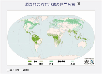 現森林の残存地域の世界分布